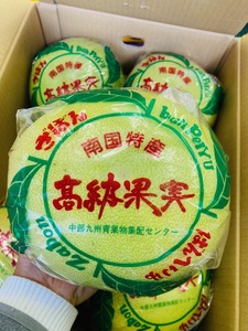 晩白柚 2玉 2.5kg~3kg 南国特産 高級果実 みかん 柑橘