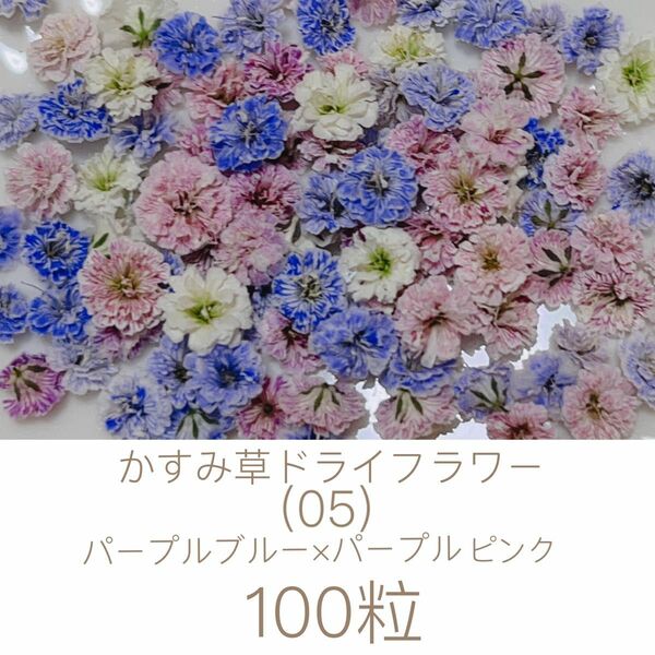 (05)かすみ草ドライフラワー100粒