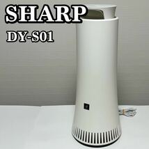 SHARP シャープ DY-S01 プラズマクラスター除菌脱臭機 脱臭器 空気清浄機 2019年製_画像1