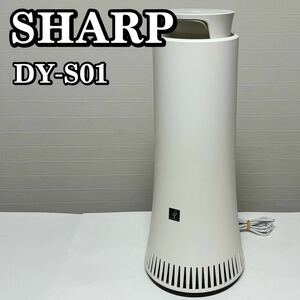 SHARP シャープ DY-S01 プラズマクラスター除菌脱臭機 脱臭器 空気清浄機 2019年製