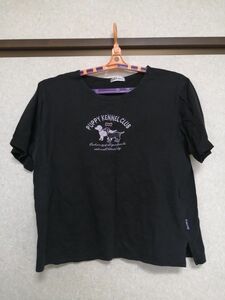 ☆即購入可能☆最終値下げ☆半袖Tシャツ 黒【ＬＬサイズ】