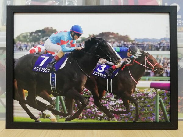 競馬.イクイノックス.パネル.日刊競馬.天皇賞(秋)