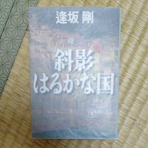 斜影はるかな国 （文春文庫） 逢坂剛／著