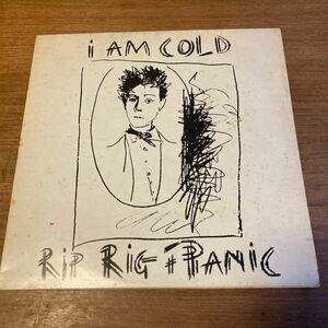 UKオリジナル /2×12inch】Rip Rig + Panic / I Am Cold don cherry