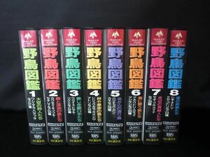 NHK ビデオ 野鳥図鑑 1〜8巻 VHS セット 【e】