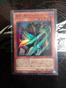 遊戯王「迷宮に潜むシャドウ・グール」スーパー WPP4