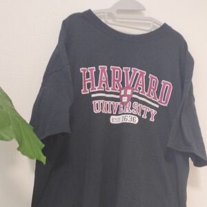 Tシャツ USA製　HARVARD大学　カレッジTシャツ アメカジ 古着 半袖