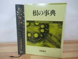 P09◇初版《根の事典・根の事典編集委員会[編]》 朝倉書店 平成10年 1998年 植物学 生物学 230407