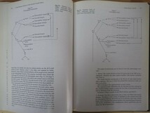 L93●洋書 Surgical Neuro angiography Volume 3 Functional Vascular Anatomy of Brain Spinal Cord and Spine 医学書　 230306_画像7