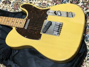 Schecter Telecaster テレキャスター