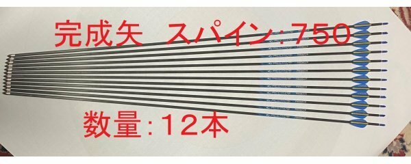 【送料無料（離島含む）　未使用】アーチェリー　完成矢　スパイン750　12本　83.5ｃｍ