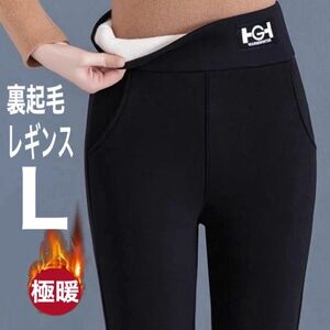 レギンスパンツ 裏起毛 極暖 L 防寒 美脚 スキニーパンツ ストレッチ