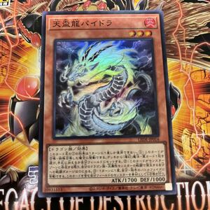 遊戯王　スーパー　LEDE-JP016　天盃龍パイドラ　LEGACY OF DESTRUCTION