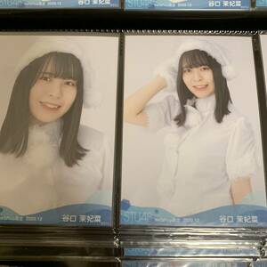 AKB48 STU48 谷口茉妃菜　2020.12 netshop限定　ランダム生写真　2枚セット　生写真