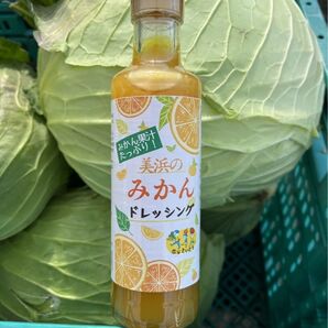みかんドレッシング2本セット