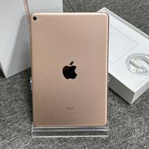 【中古品】Apple iPad mini（第5世代/2019） Wi-Fiモデル 64GB ゴールド MUQY2J/A 強化ガラス付_画像1