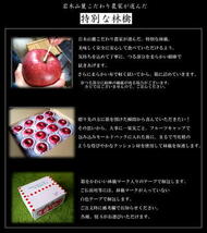 贈答用 りんご サンふじ リンゴ 林檎 5kg 青森産 葉とらず フジ 富士 冨士_画像4