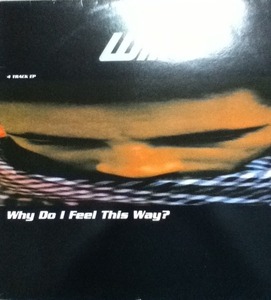 【廃盤12inch】WILKS / Why Do I Feel This Way?