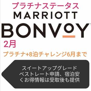 マリオットプラチナ+8泊チャレンジ6月末まで