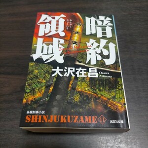 暗約領域　長編刑事小説 （光文社文庫　お２１－２９　新宿鮫　１１） 大沢在昌／著　保管c