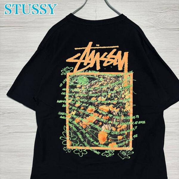 【希少デザイン】STUSSY ステューシー　Tシャツ　Lサイズ　蝶々　バタフライ　両面デザイン ワンポイントロゴ バックプリント ストリート