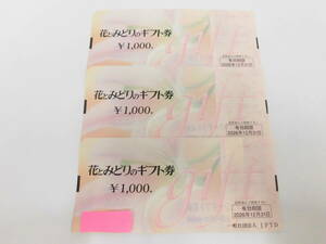 チケット祭 花とみどりのギフト券 1000円 3枚 2026年12月31日迄 母の日 父の日 誕生日 クリスマス プレゼント ギフト 