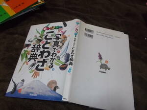 児童書　新レインボー　写真でわかることわざ辞典(2009年Gakken)送料160円