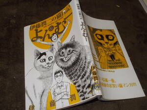 コミック　伊藤潤二の猫日記　よん＆むー　伊藤潤二(2021年)送料116円　ホラー漫画家の猫エッセイコミック