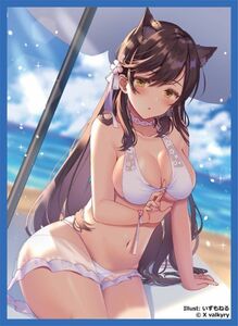 [新品未開封] アズレン アズールレーン　愛宕 水着ver　コミケ限定同人スリーブ　xvalky illust:いづもねる