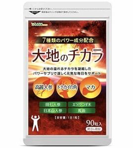 ★送料無料★大地のチカラ 約3ヶ月分(2026.2~)(90粒入り)高麗人参 トナカイの角 マカ シードコムス サプリメント