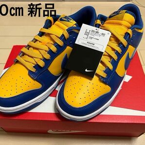 Nike Dunk Low Retro　ダンクロー　レトロ　ブルージェイアンドユニバーシティゴールド