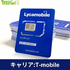 ＊最終値下げ＊アメリカSIM 8日データ 4G/5G LTE 安定 高速通信 