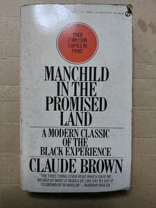 Manchild in the Promised Land foreign book 