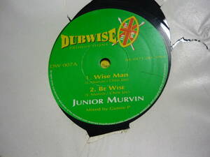 10インチ　　JUNIOR MURVIN / WISE MAN　WINSTON FERGUS / PRAISE HIM