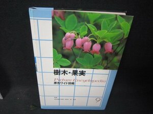 原色ワイド図鑑9　樹木・果実　カバー等無シミ有/RBZL