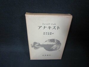 ジョル　アナキスト　日焼け強シミ有/RCD