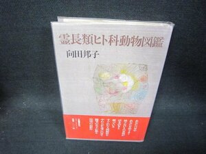 霊長類ヒト科動物図鑑　向田邦子　シミ有/SAF