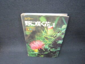 カラー　野に咲く花1　山渓カラーガイド12　カバー破れシミ有/SAG