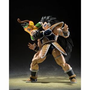 新品未開封 S.H.Figuarts ラディッツ&孫悟飯 幼年期 -Exclusive Edition- ドラゴンボール SDCC