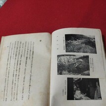 小島の春 小川正子 キリスト教 ハンセン病 新約聖書旧約聖書 検）神学宗教学カトリック教会プロテスタント教会宣教師戦前明治大正福音書OA_画像2