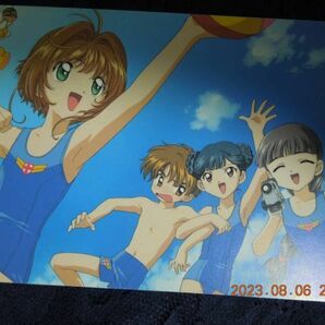 カードキャプターさくら ポストカード ② 水着 / アニメディア1999年8月号付録 イラストカードの画像1