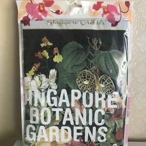 シンガポール ボタニックガーデン Botanic Gardens Gold Wood デザインTシャツ　XL 新品未開封　服