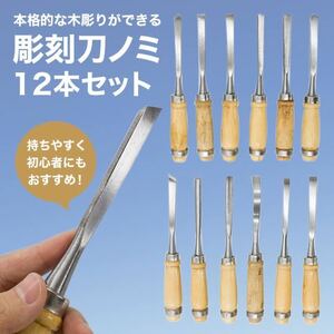 彫刻刀 セット 12本セット 小学生 ノミ カービングナイフ 大工 木彫り SALE