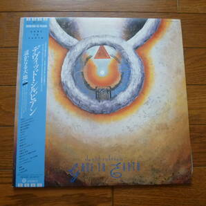 LP デヴィッド・シルビアン 遥かなる大地へ DAVID SYLVIAN / GONE TO EARTH 2枚組の画像1