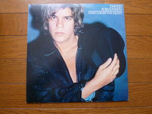 LP デヴィッド・ヨハンセン　ニューヨーク・コネクション　DAVID JOHANSEN