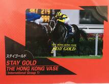 ★テレカおまとめ3枚★競馬The Hong Kong International Races2001★①アグネスデジタル②ステイゴールド③エイシンプレストン★専用台紙★_画像4