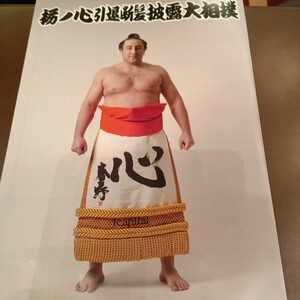 栃ノ心引退断髪披露大相撲