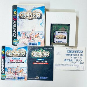 GBC ゲームボーイカラー専用 グランディア パラレルトリッパーズ ソフト 箱説付 起動確認済の画像1