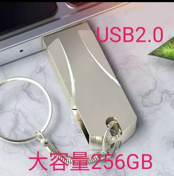 【新品未使用品！】USBフラッシュメモリー USB2.0 256GB 大容量 シルバーのみ