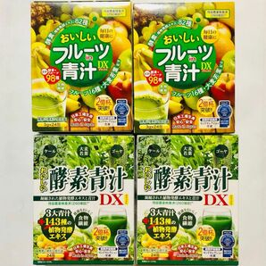  ジャパンギャルズsc おいしい酵素青汁DX おいしいフルーツin青汁DX 酵素82種フルーツ16種 大麦若葉配合 各2組 箱無し